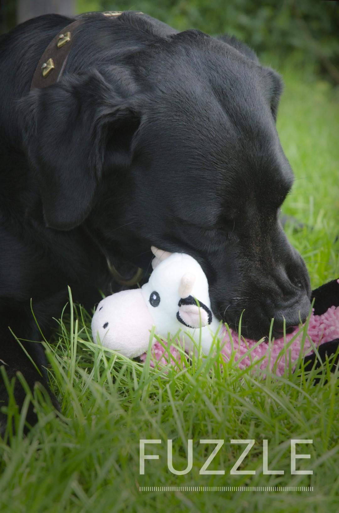 Cow with 5 beepers dog toy