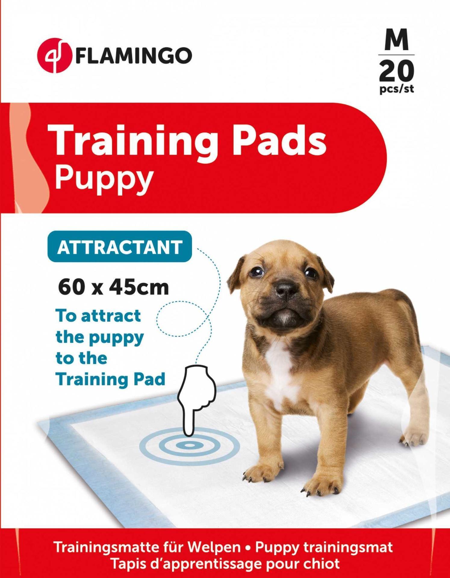 Dog litter tray 60x45 20x litter apartment cleanliness