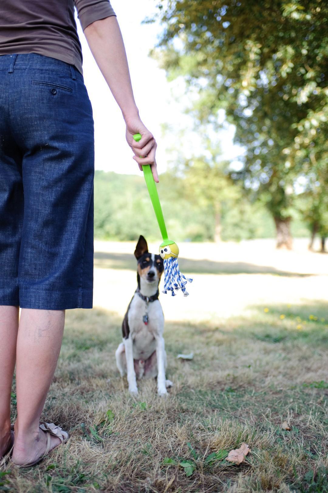 Fanatic dog ball 6cm