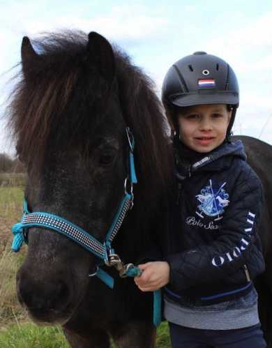 Volla Headcollar, halter