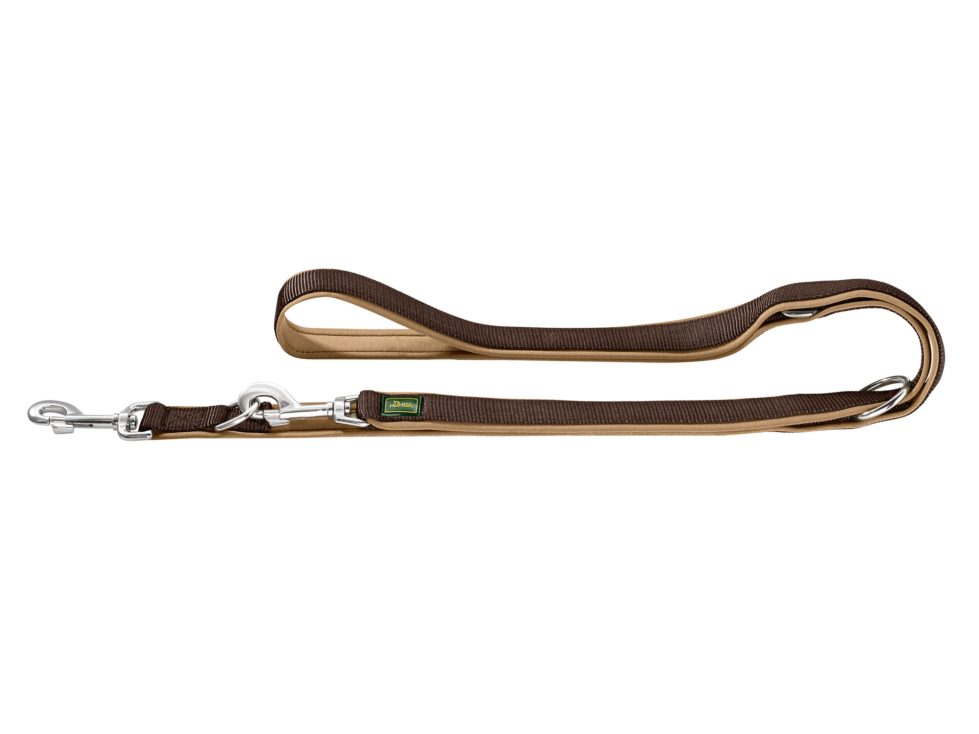 Brown dog leash