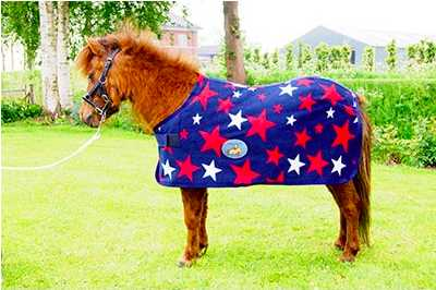Harry and Hector Star horse rug