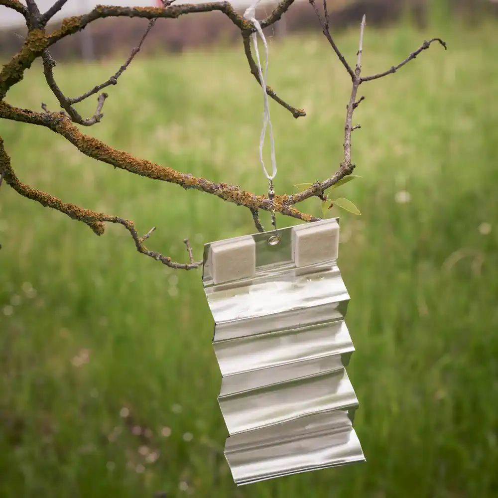 Aluminum strips with odor deposits.