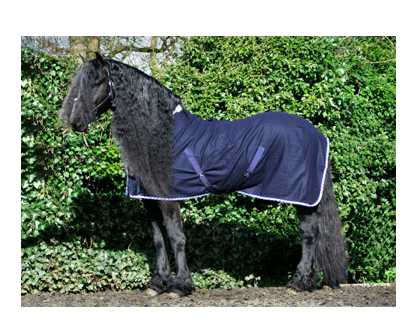 Enna thin horse rug