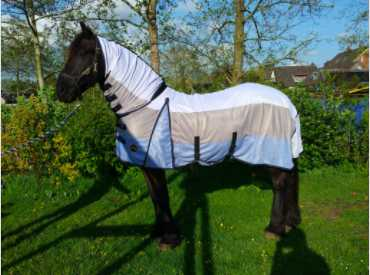Orion Horse blanket