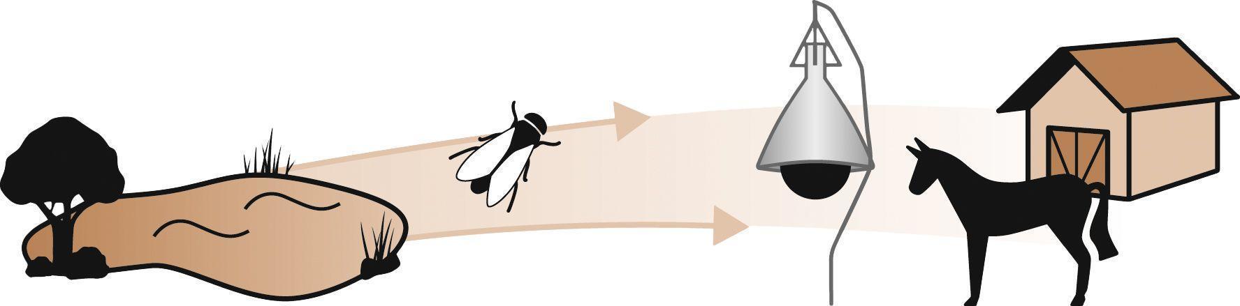 horse fly trap complete stable animal husbandry pest control