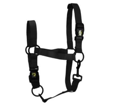 Monza Headcollar, halter