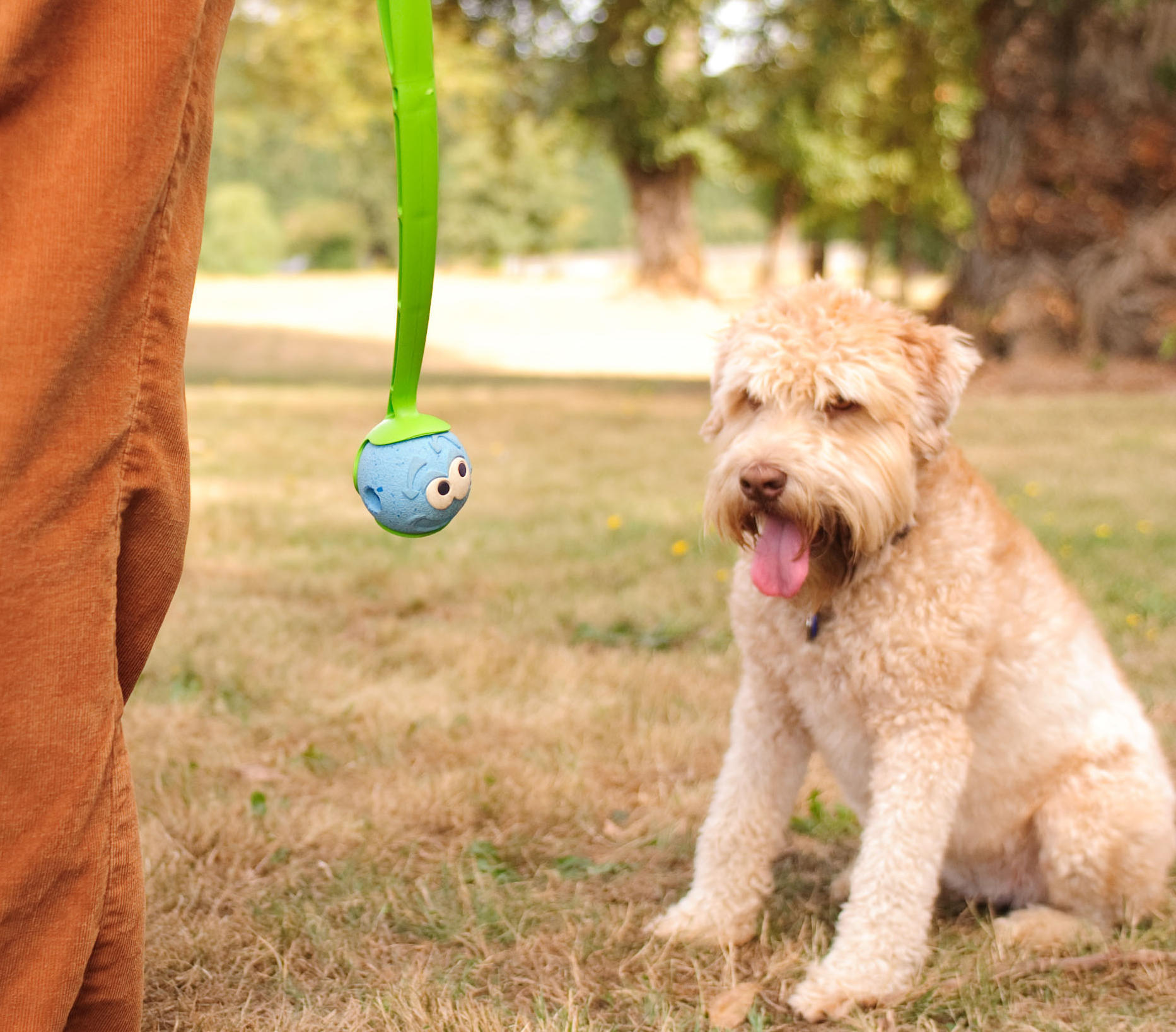 The Whistler M 6 cm 2 Pack