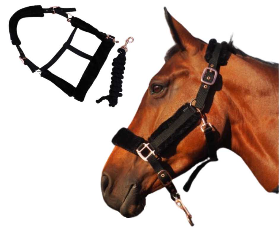 Tivoli Headcollar, halter