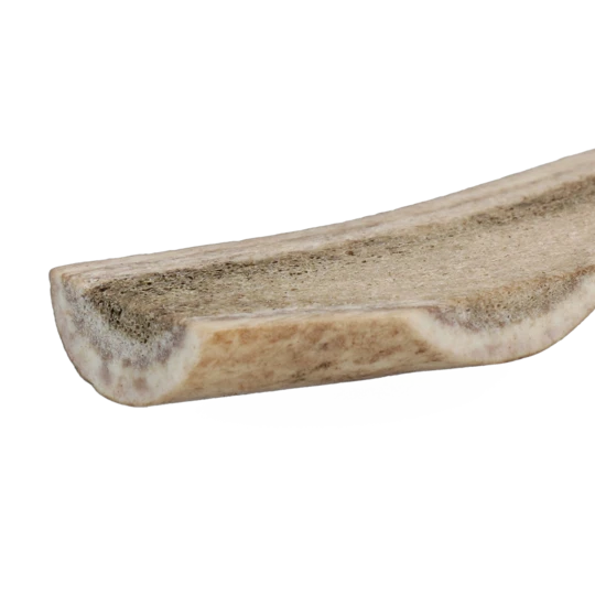 Chewbone XL dog dental care