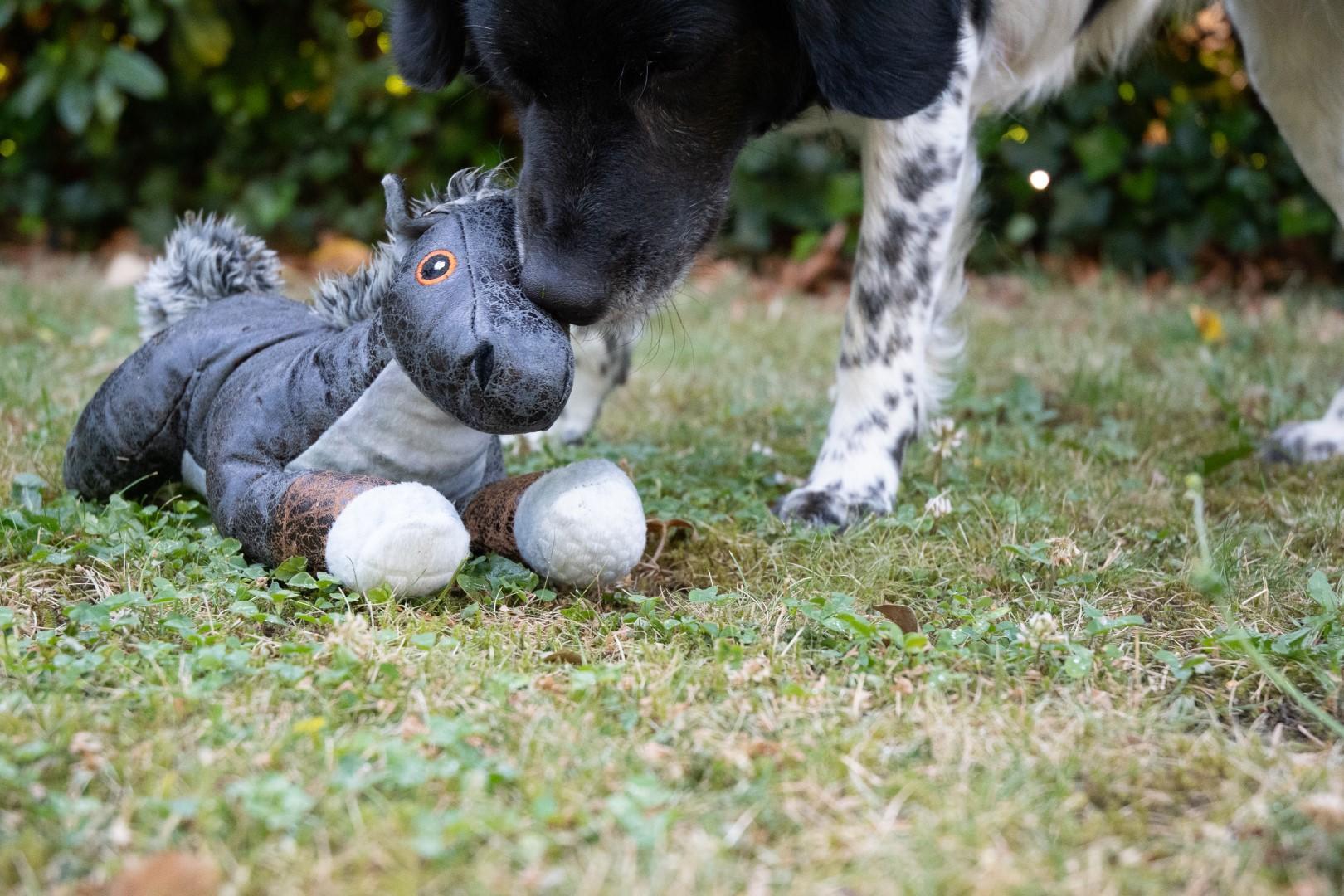 Soft material horse grey dog toy