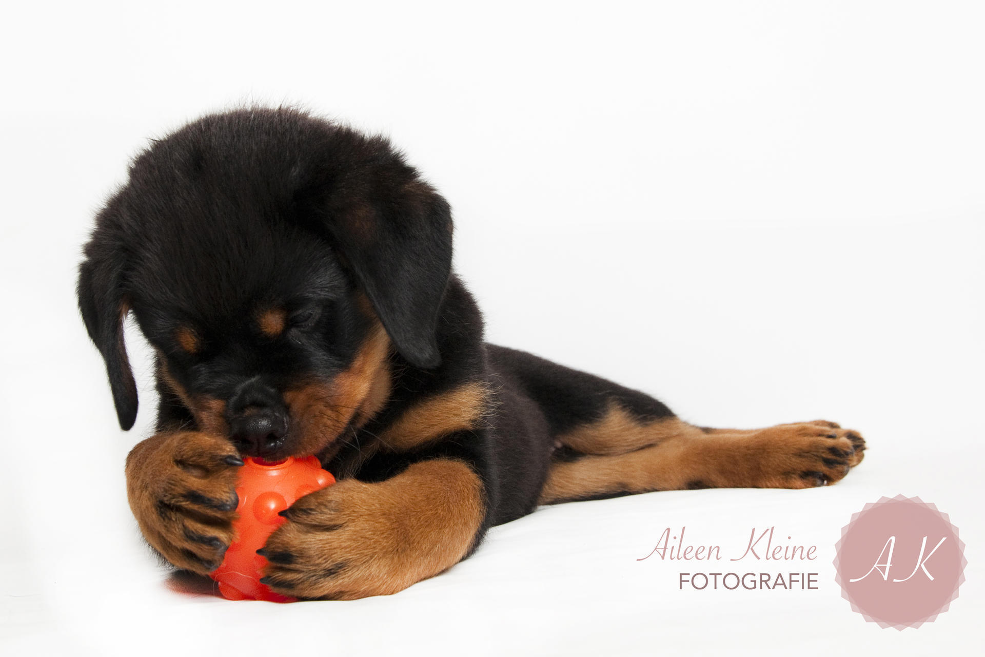 Jumper dog ball 7,5cm