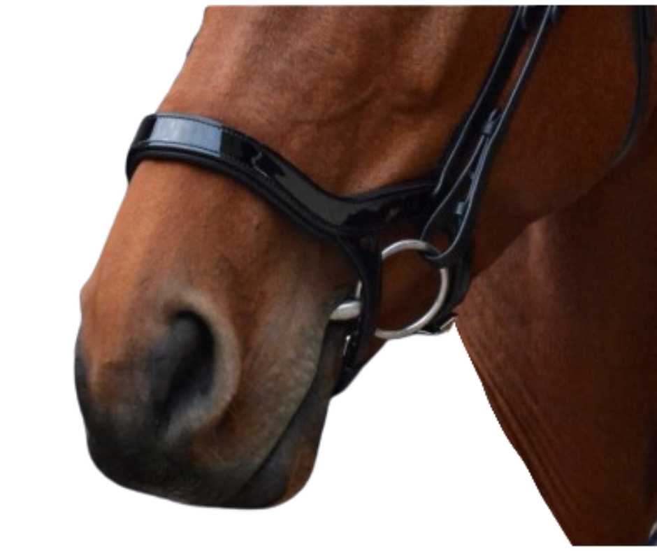 Doki noseband