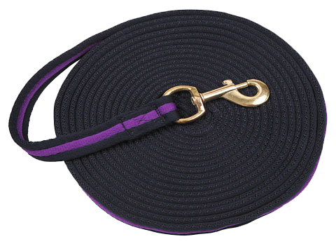Lunge rope