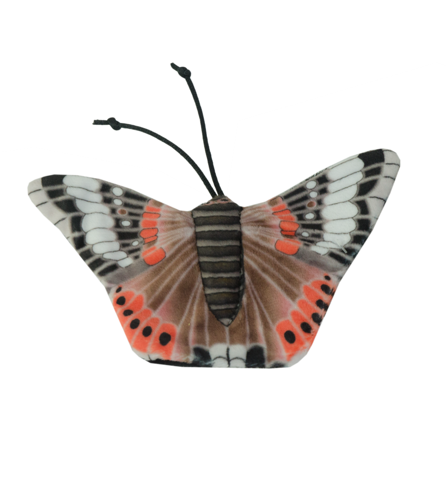 Red butterfly cat toy filled with catnip