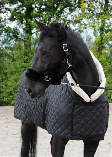 Showtime Desir horse rug