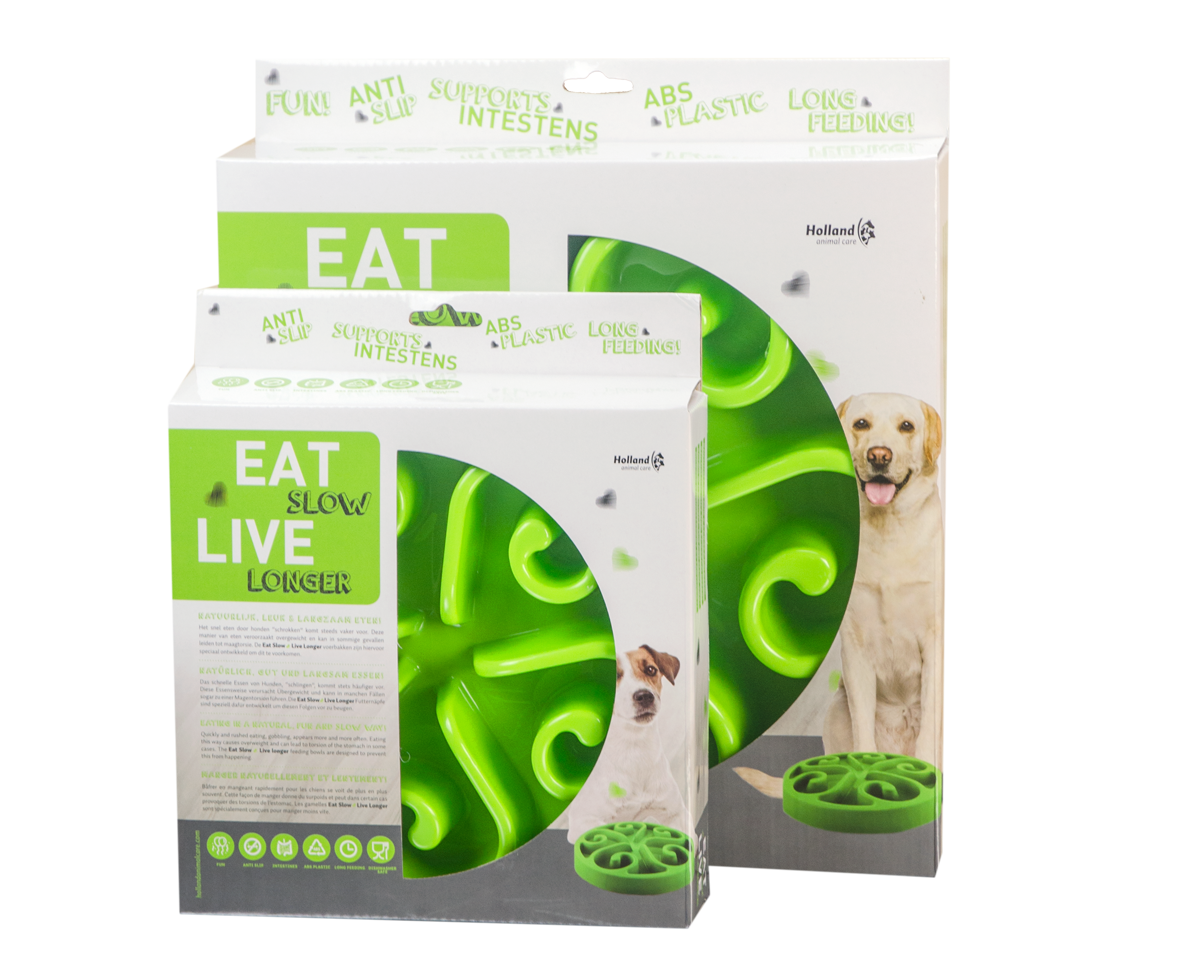 Slow feeding bowl  for dog and cat