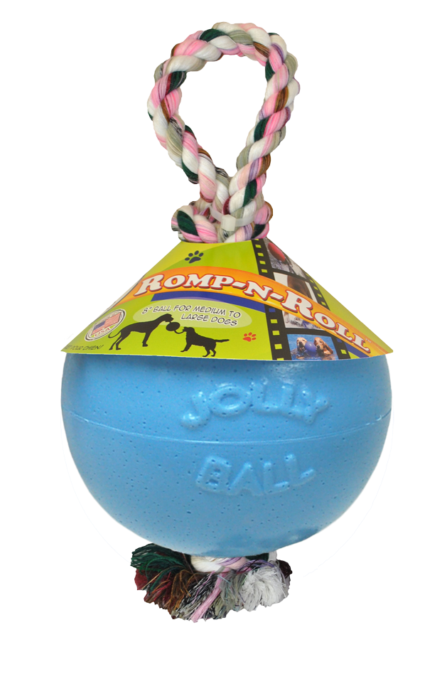Blueberry dog ball with rope
