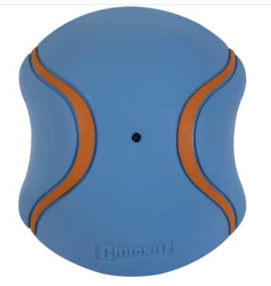 Slider indoor dog toy