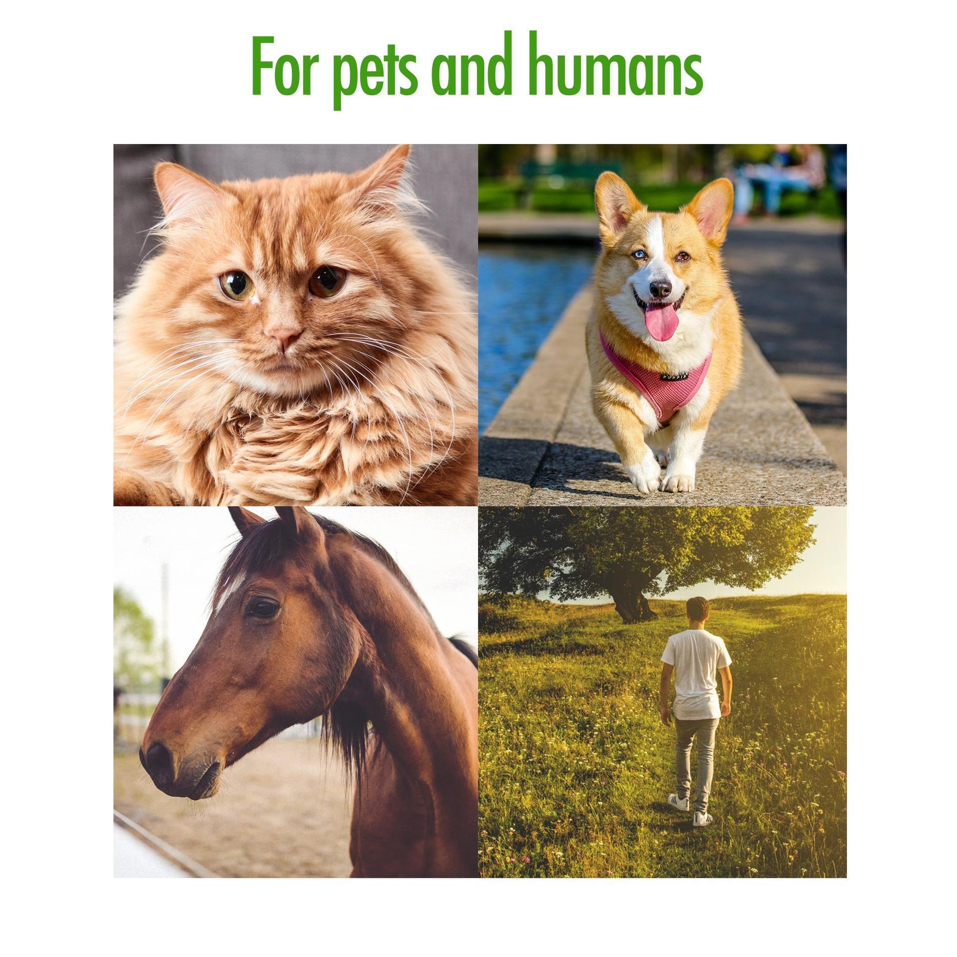 Tick Tornado (tick remover), cat, dog tick tweezers