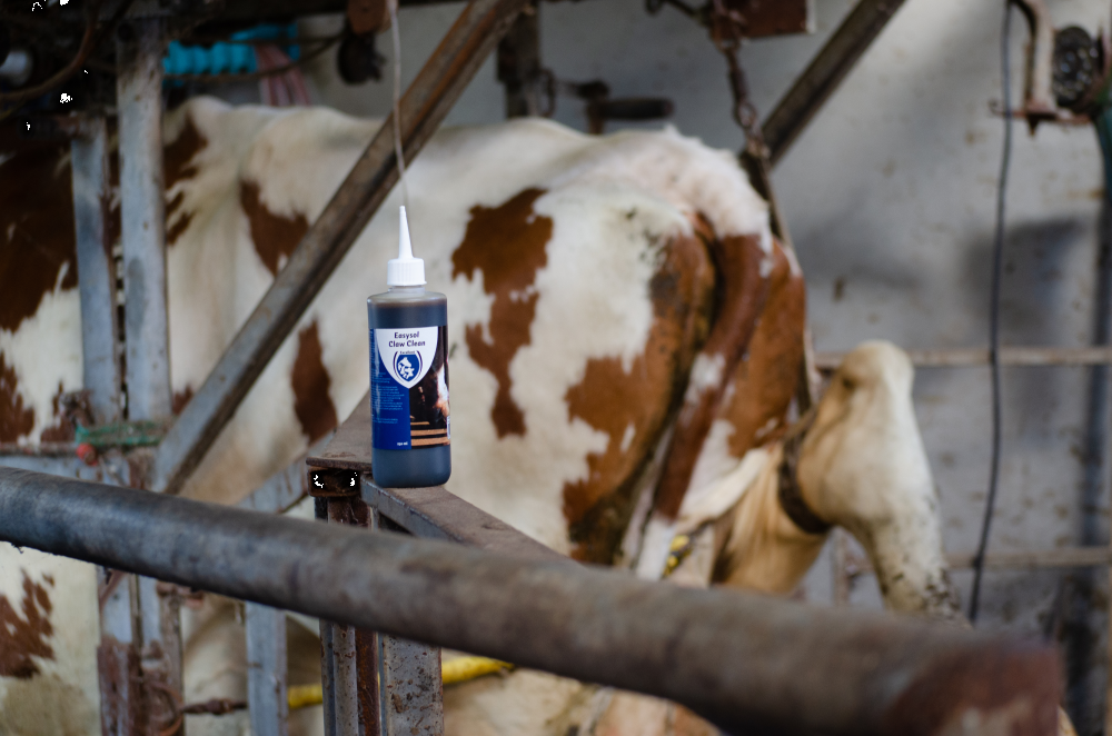 Easysol hoof cleaner, cattle, hoof care