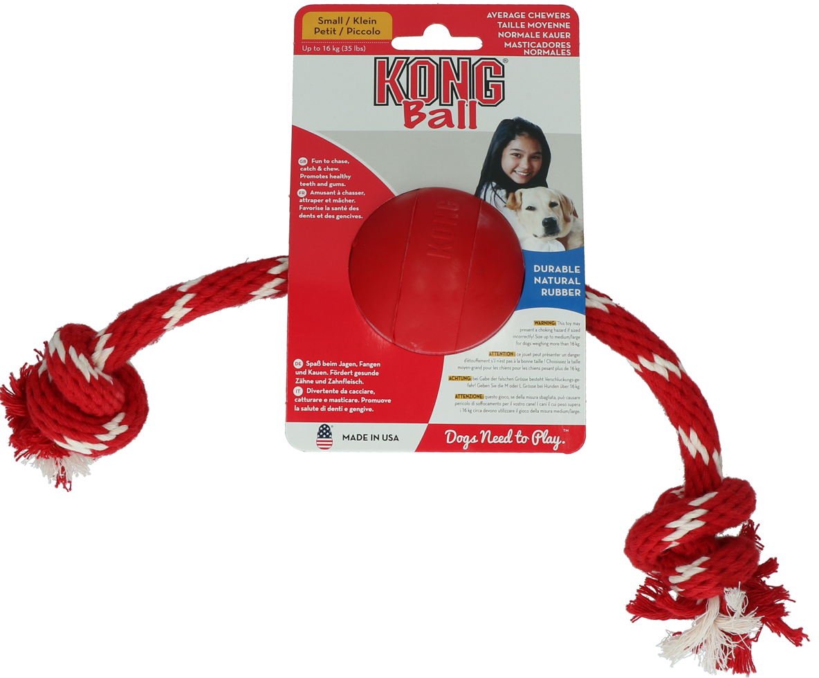 Ball with rope dog game