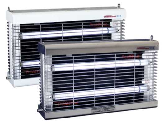 Chameleon   fly lamp