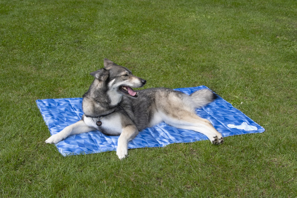 Premium cooling mat L (90x60cm)