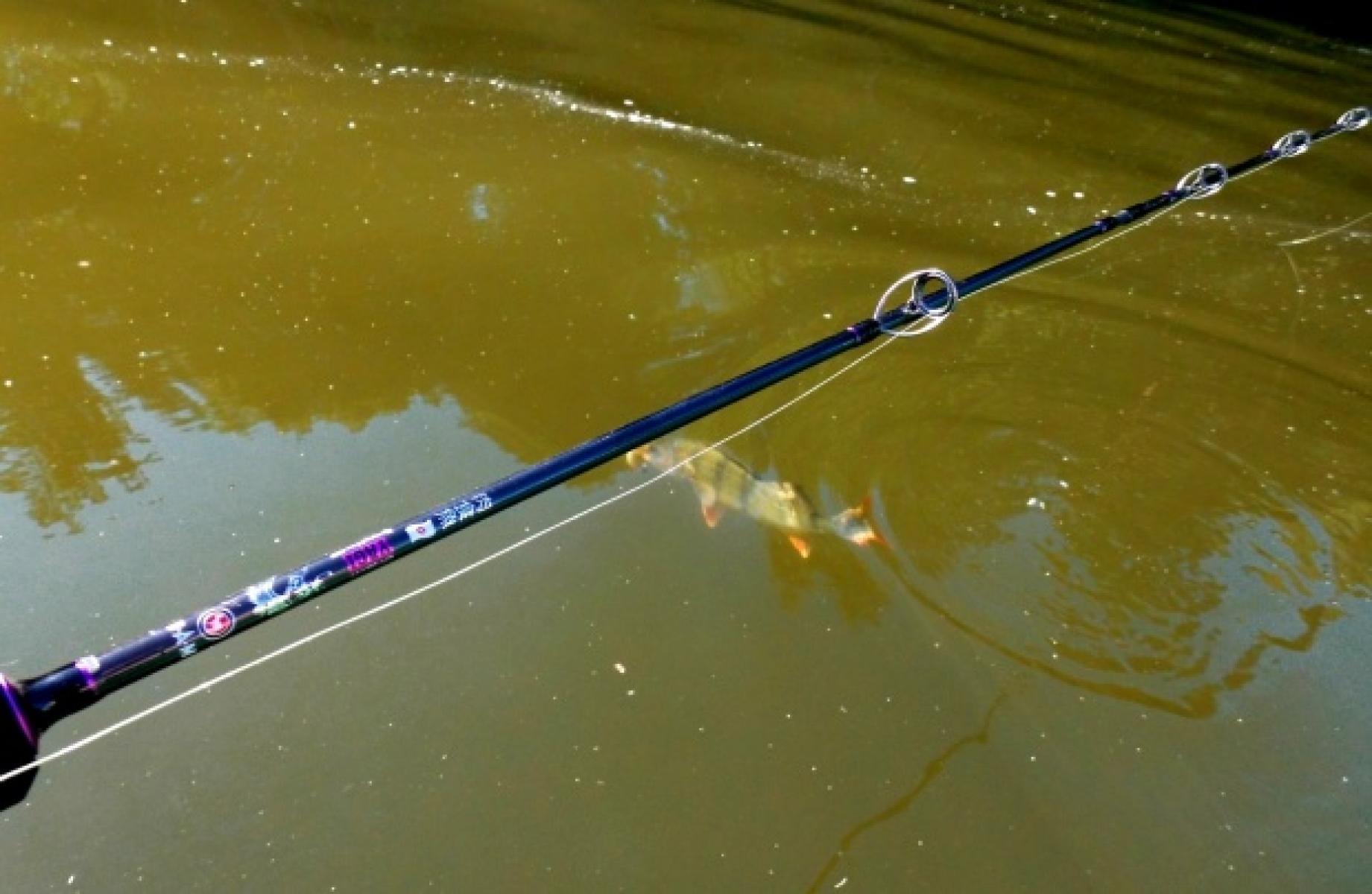 D2935198 EFFZETT YAGI 7-28, trolling rod