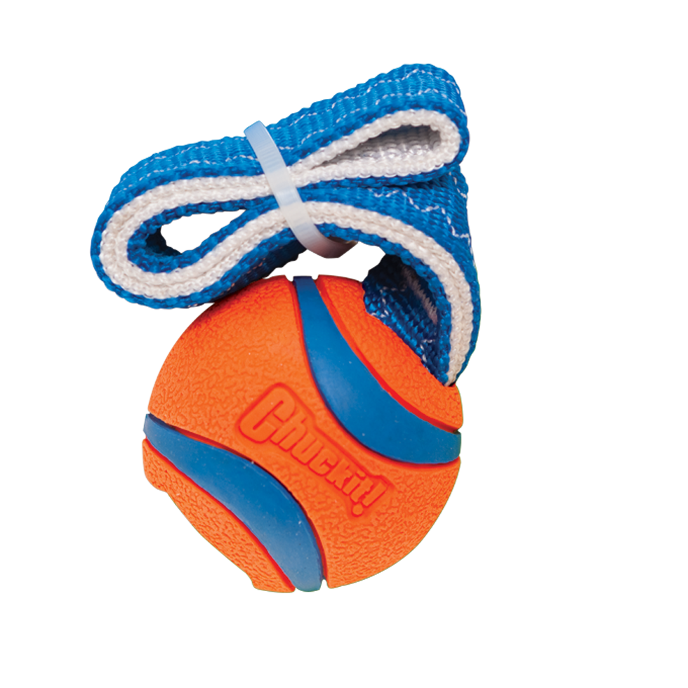 Premium dog ball with handle