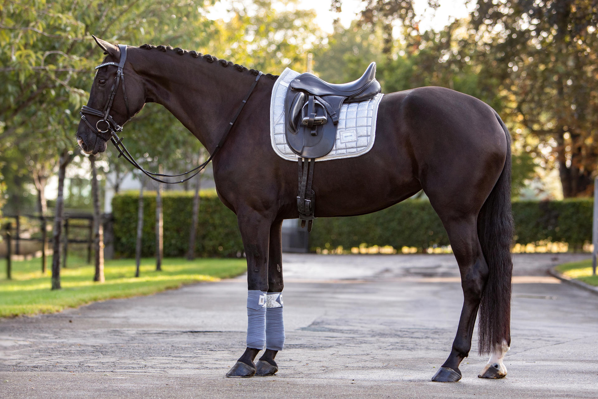 Lake View Showtime  Dressage saddle pads