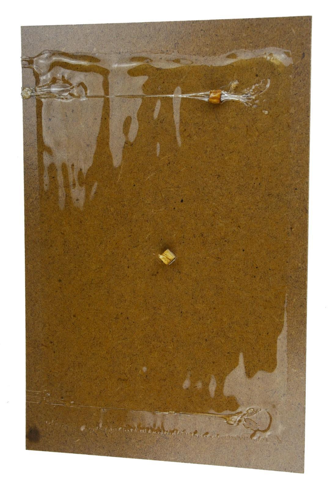 Sticky trap 20x30cm for mice against insects