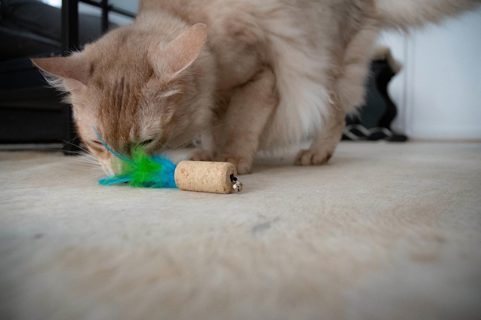 Wool luxury feathered dream cork green cat toy