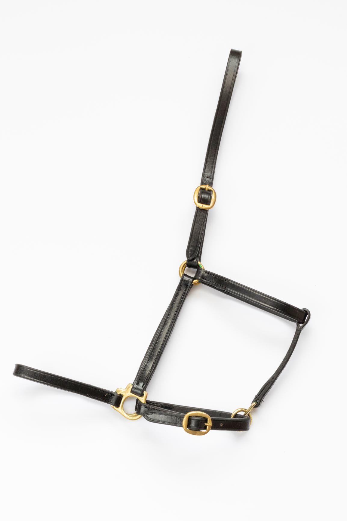 Salerno Leather headcollar, halter