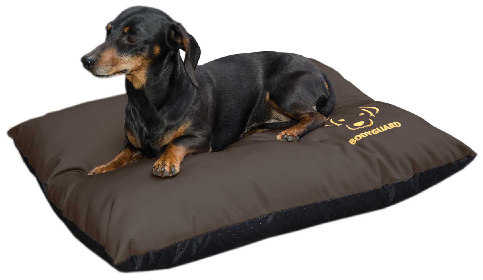 Elegant dog pillow S