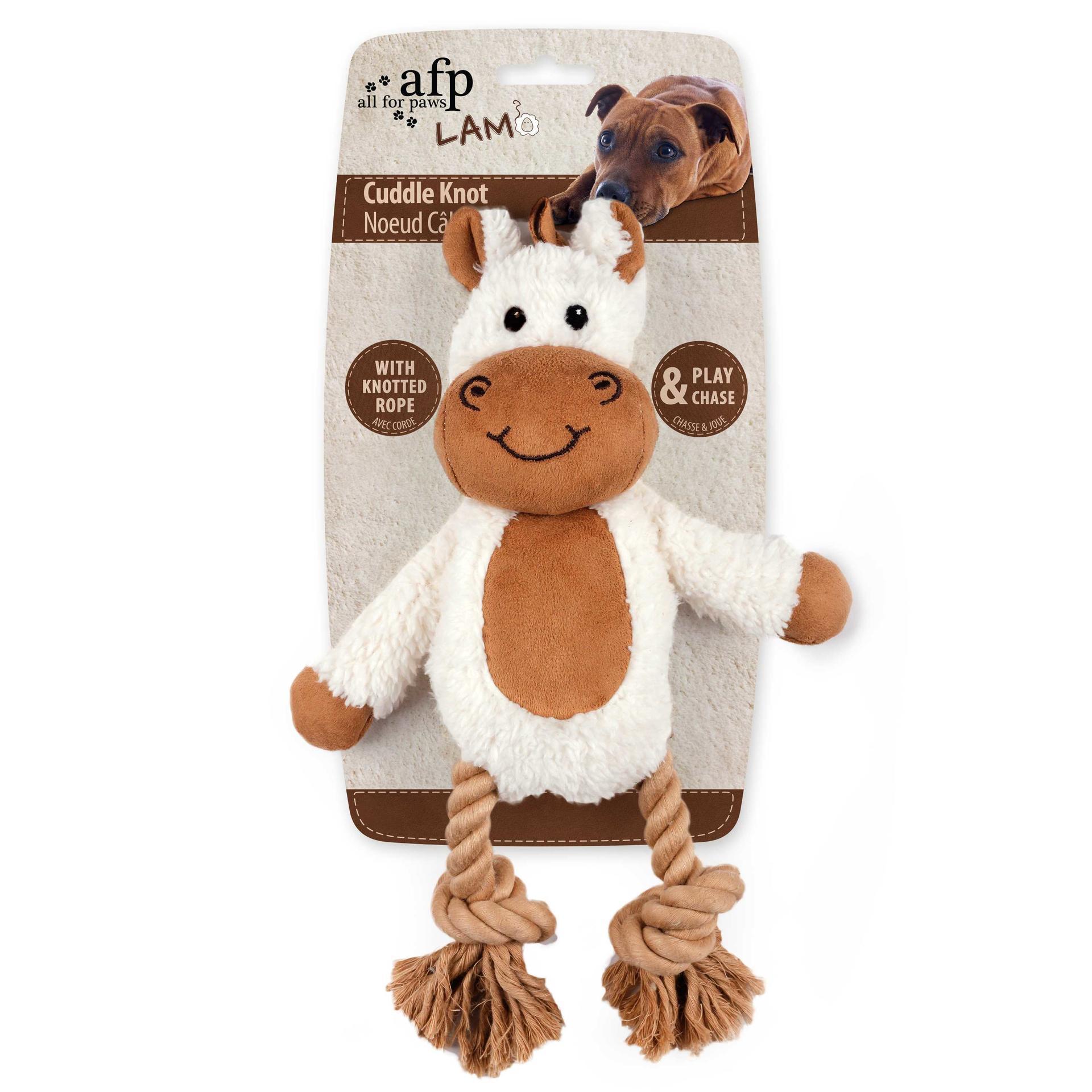 Plush dog toy with floss and rope