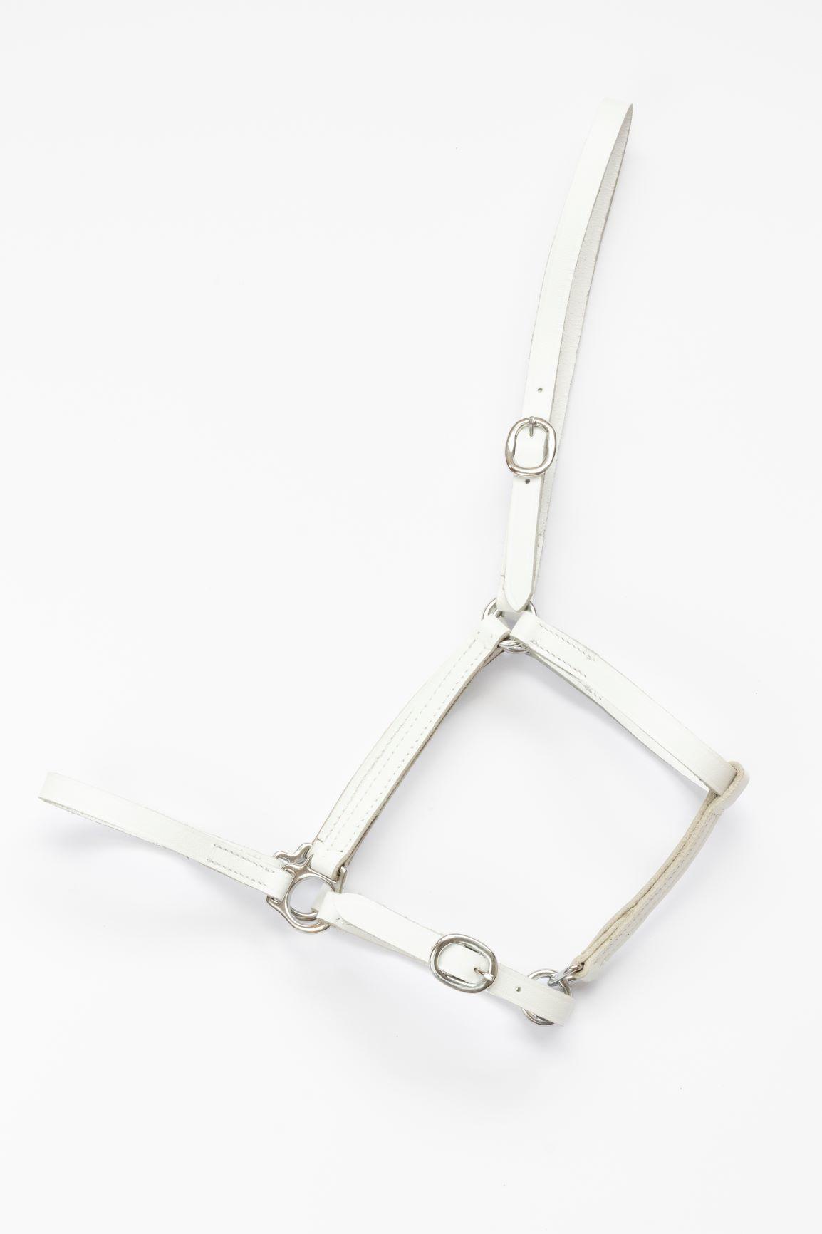 Salerno Leather headcollar, halter