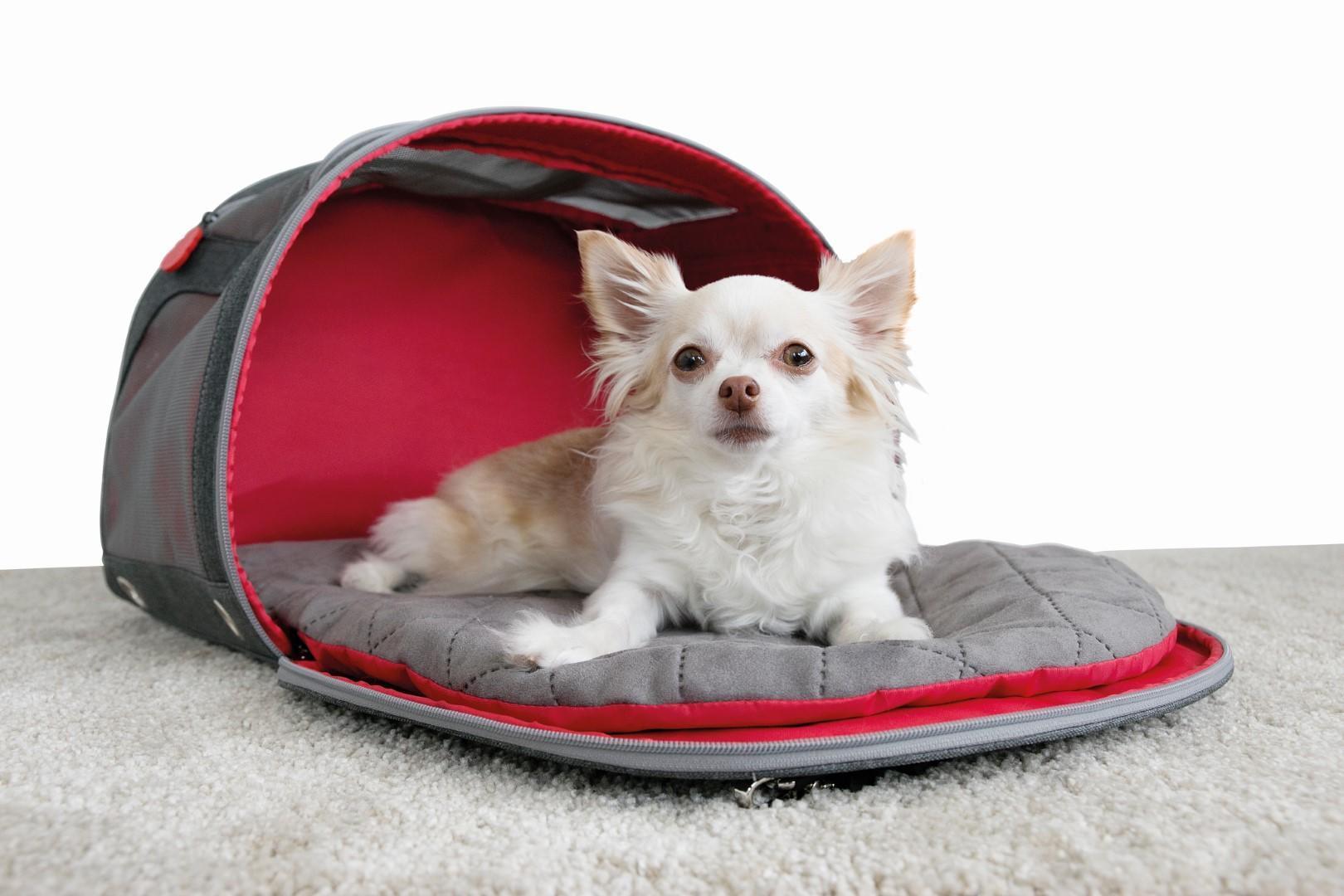Bag and travel mat, 2 in 1 for pet transport