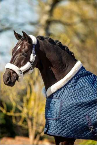 Showtime Desiro horse rug