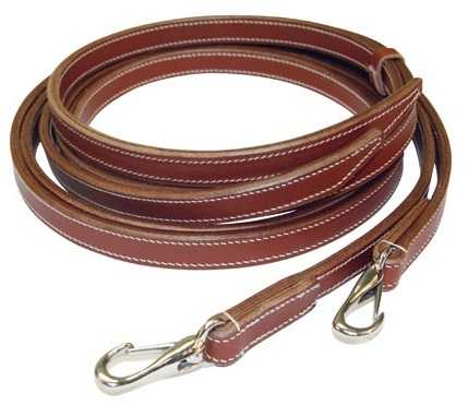 Webband reins