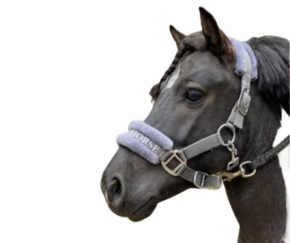 Lauro Headcollar,  halter