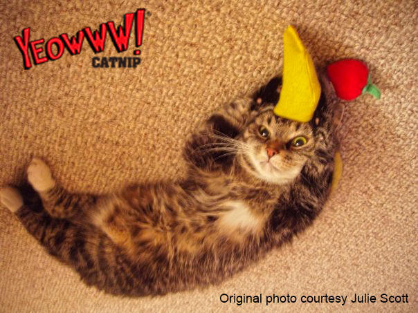 Chicata banana cat toy filled with catnip