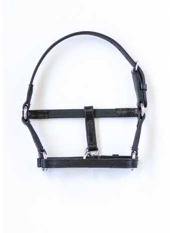 Kitty Mini Shatland headcollar, halter