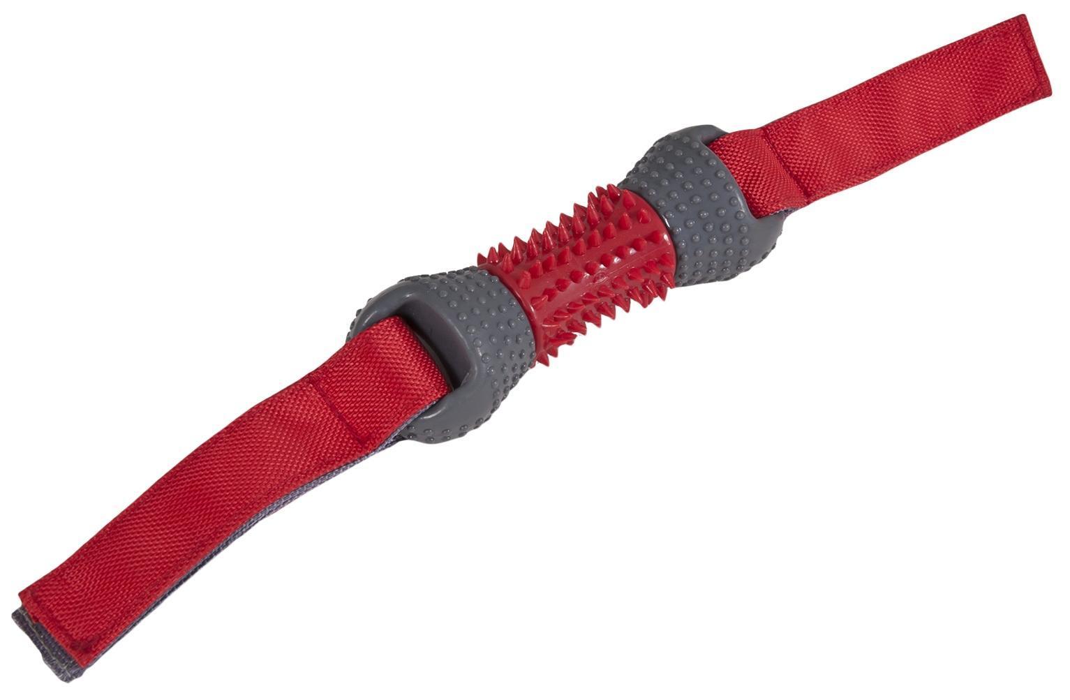 Dino spiked XL 17 cm dog toy chew toy