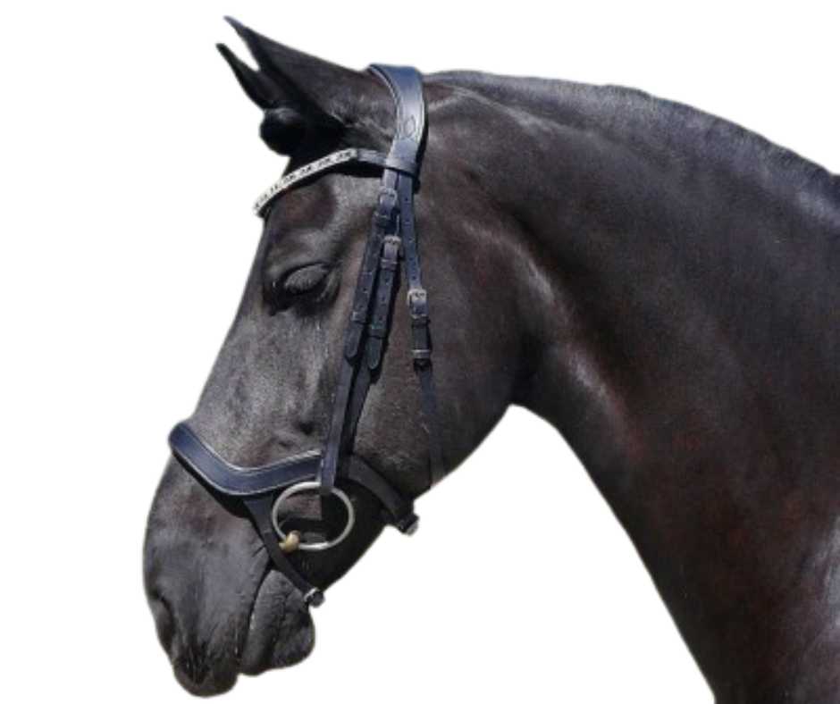Showtime Freedom bridle