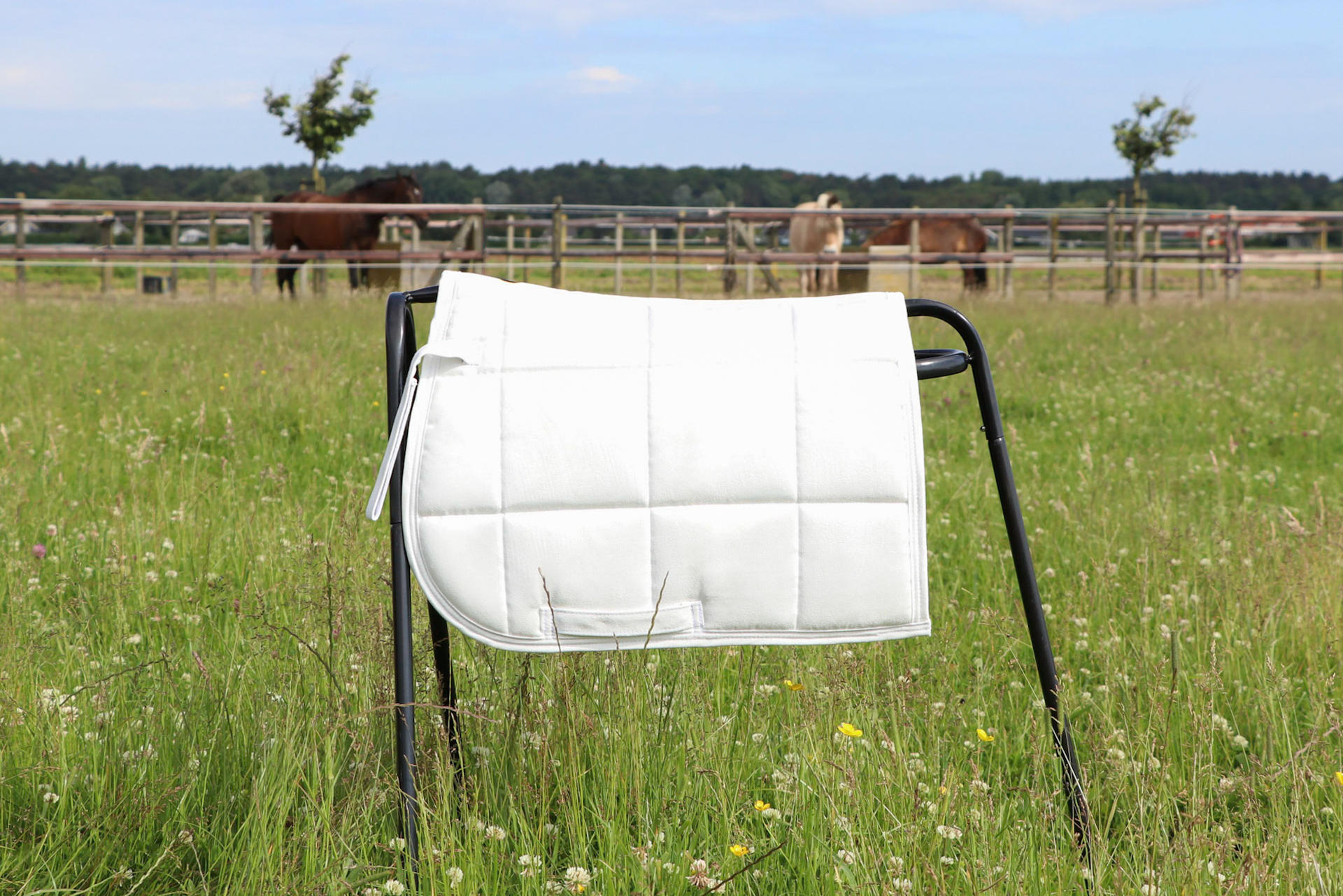 Saddle pads for Shetland pony