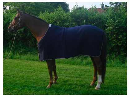 Grand Canyon Horse rug