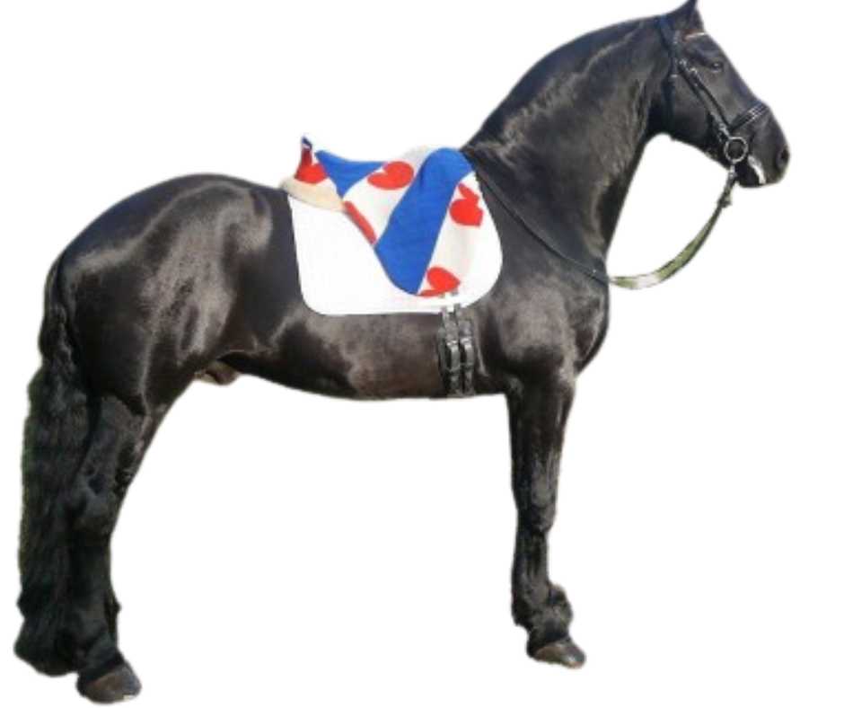 Frisian saddle cover