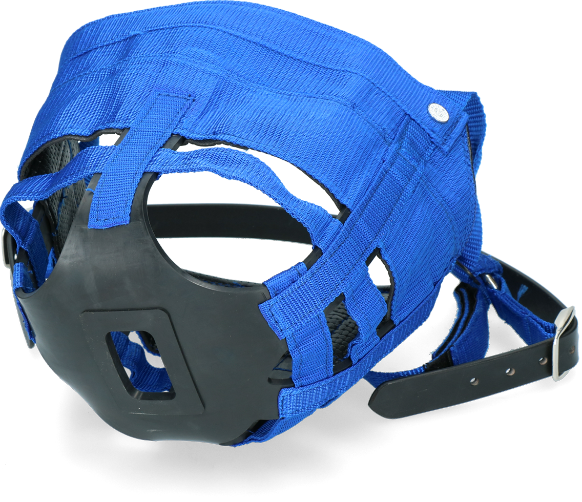 Horse grazing muzzle