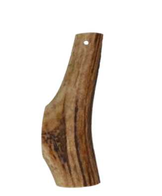 Chewbone M dog dental care